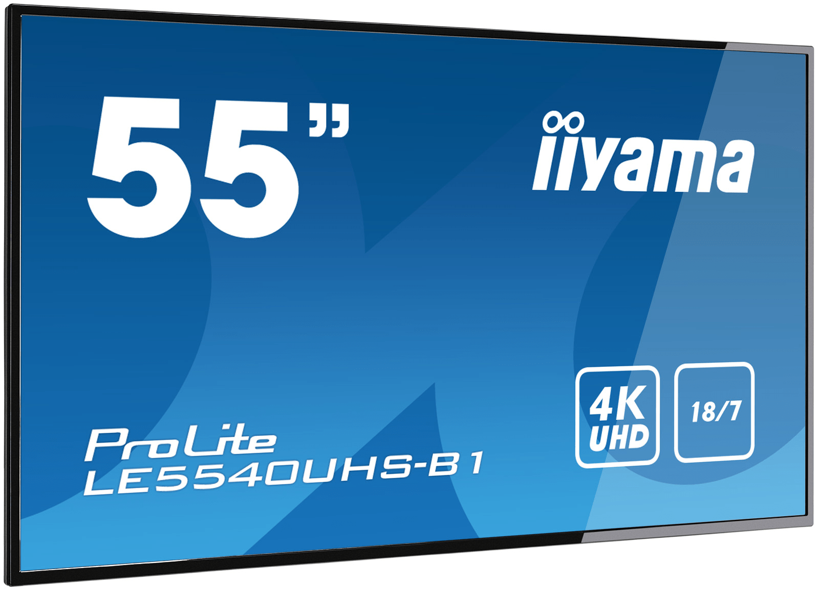 AAAAA24004