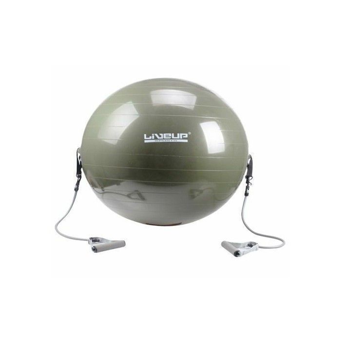 Ballon de Fitness avec tendeurs - Liveup Sports