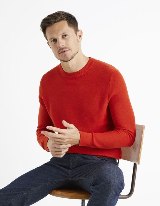 Pull col rond 100% coton