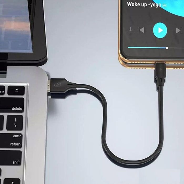 Câble de Données et Charge 2.4A REMAX WDC-105m