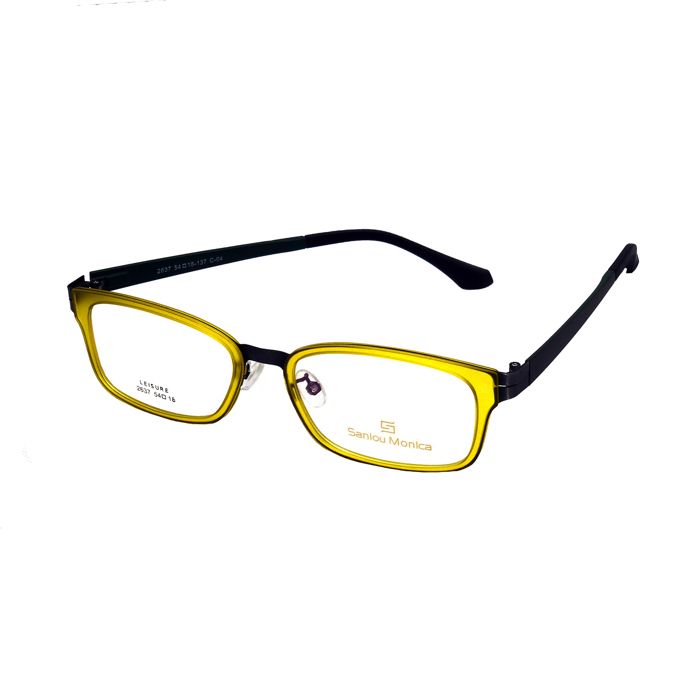 monture de lunettes de vue et protection 54mm 18mm - 2637