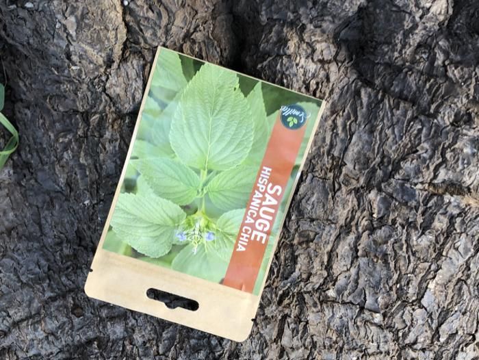 SACHET DE GRAINES SAUGE HISPANIQUE