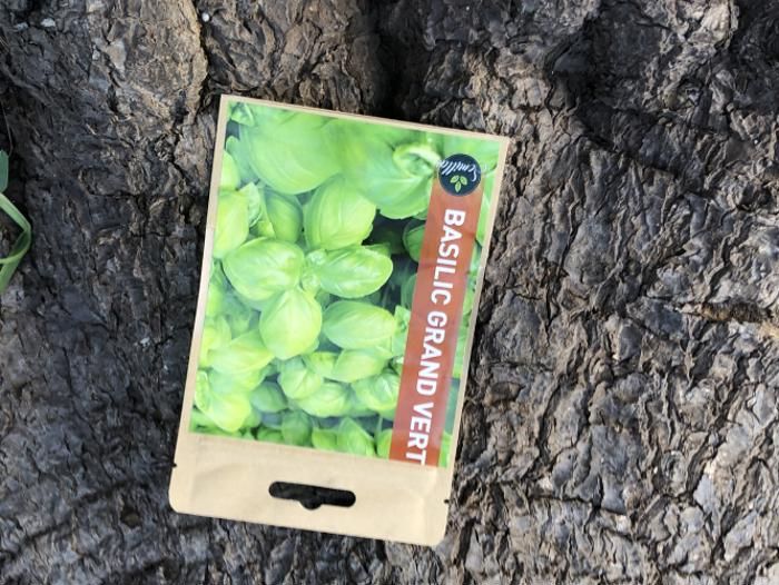 SACHET DE GRAINES BASILIC GRAND VERT