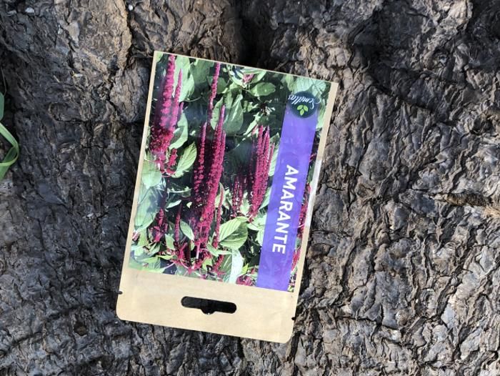 SACHET DE GRAINES AMARANTE