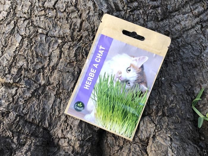SACHET DE GRAINES HERBE POUR CHAT