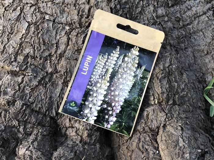 SACHET DE GRAINES LUPIN