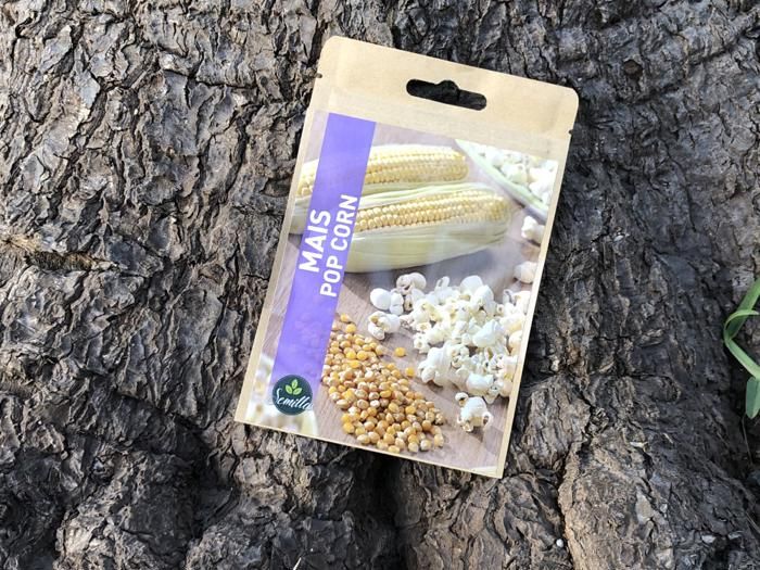 SACHET DE GRAINES MAÏS POP CORN
