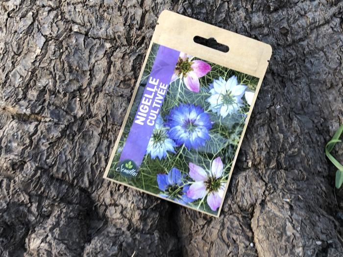 SACHET DE GRAINES NIGELLE CULTIVEE