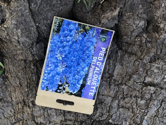 SACHET DE GRAINES PIED D'ALOUETTE -Delphinium -