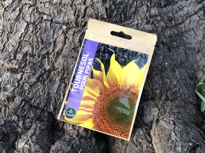 SACHET DE GRAINES TOURNESOL POUR "PIPAS"