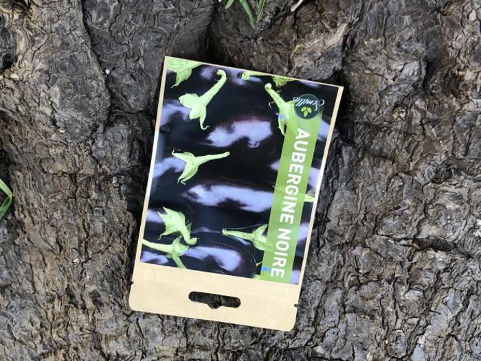 SACHET DE GRAINES AUBERGINE NOIRE  