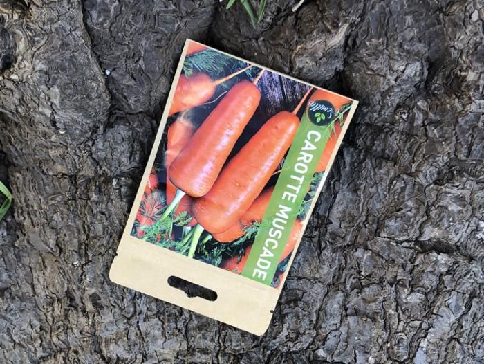 SACHET DE GRAINES CAROTTE MUSCADE