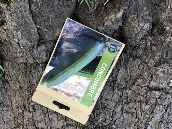 SACHET DE GRAINES CONCOMBRE