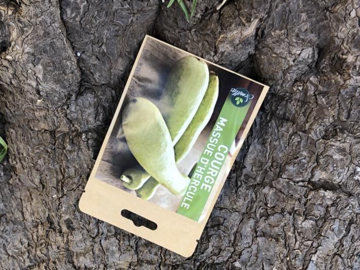 SACHET DE GRAINES COURGE MASSUE D'HERCULE