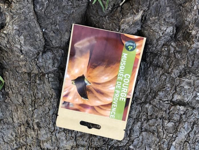 SACHET DE GRAINES COURGE MUSQUEE DE PROVENCE