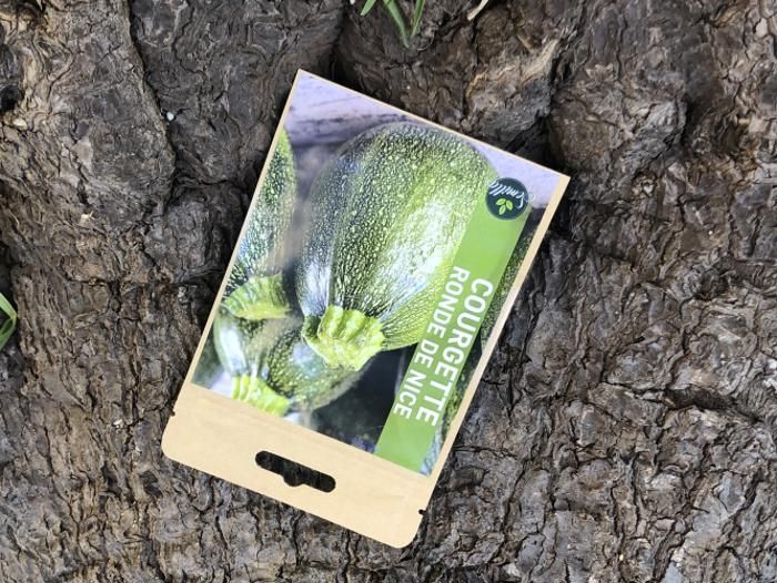 SACHET DE GRAINES COURGETTE RONDE DE NICE