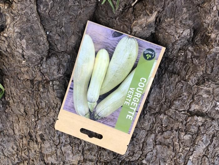 SACHET DE GRAINES COURGETTE VERTE
