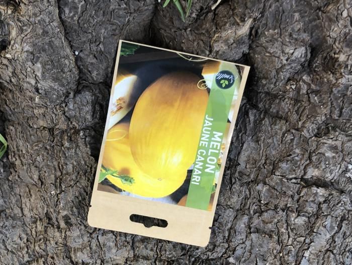 SACHET DE GRAINES MELON JAUNE CANARI