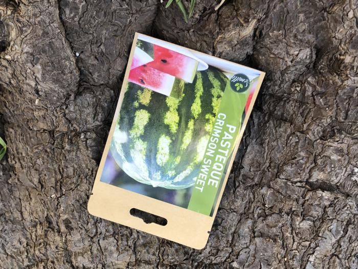 SACHET DE GRAINES PASTEQUE CRIMSON SWEET