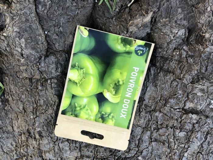 SACHET DE GRAINES POIVRON DOUX