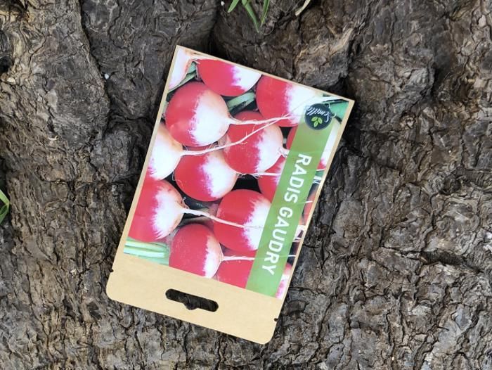 SACHET DE GRAINES RADIS GAUDRY