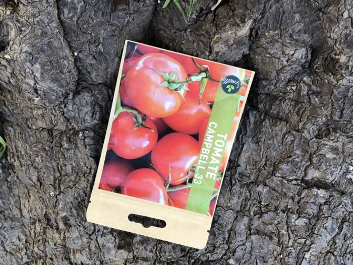SACHET DE GRAINES TOMATE CAMPBELL 33