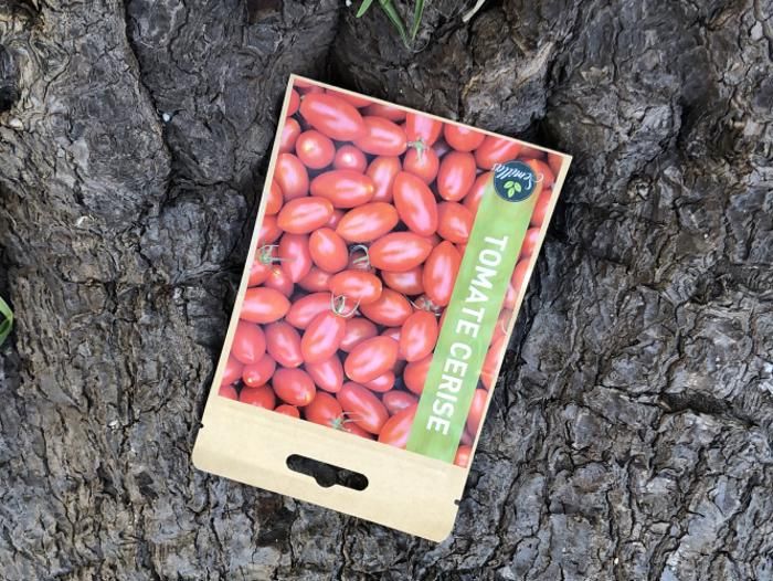 SACHET DE GRAINES TOMATE CERISE