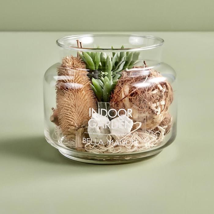 Objet décoratif - BELLA MAISON - Grande Composition Succulente - Verre - 16x13,5 cm - Contemporain