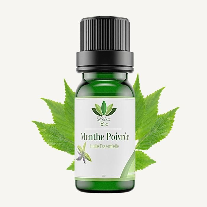 Huile essentielle de menthe Poivrée