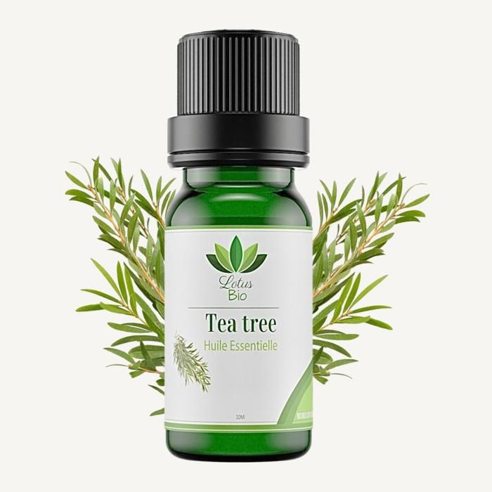 huile essentielle de tea tree