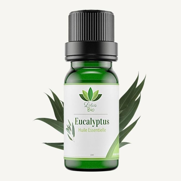 Huile essentielle d'eucalyptus