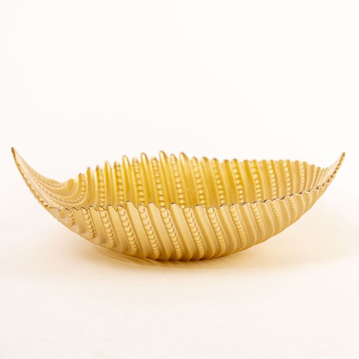 Palmier saladier 30 cm