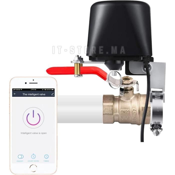 Contrôleur intelligent de vanne motorisée pour eau/gaz avec minuterie d'arrosage Wi-Fi