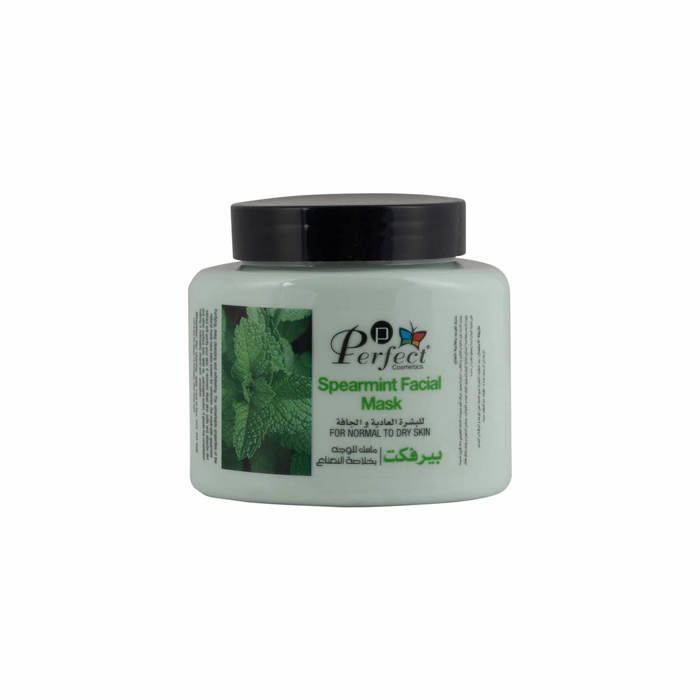 Masque pour le visage à l'extrait de menthe Perfect - 500ml