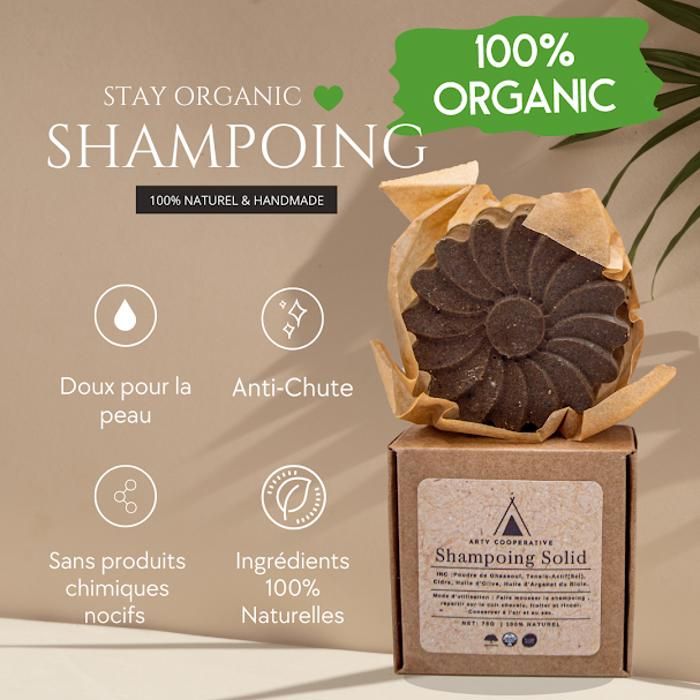 Shampoing Solid Anti-Chute Naturel Sans Sulfate Ou Produits Chemiques