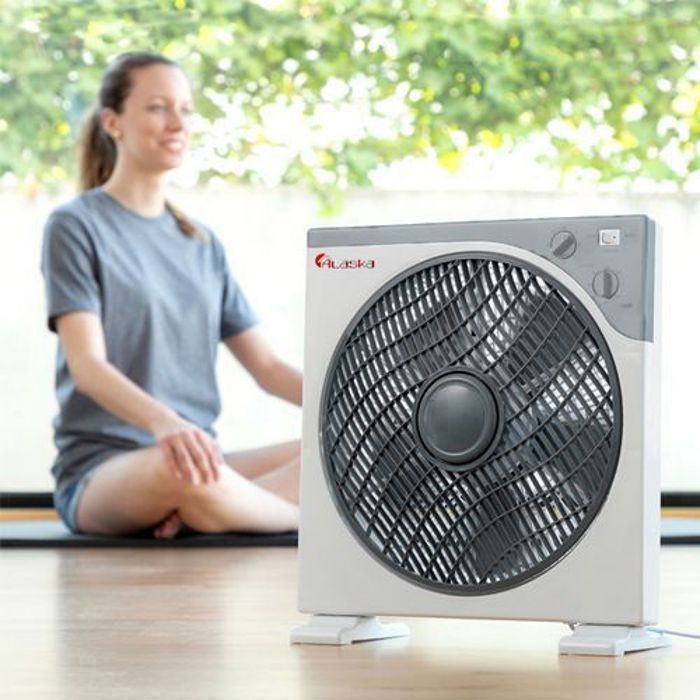Ventilateur au Sol - 40W - ALK-1202 - ALASKA