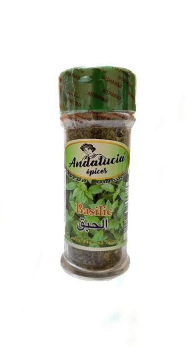 Basilic