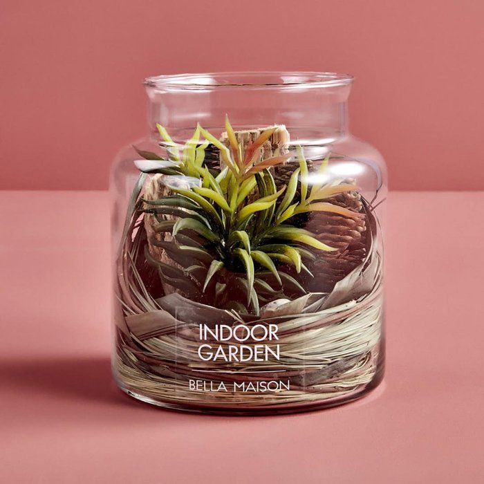 Terrarium Grand Pot en Verre (18x20 cm)
