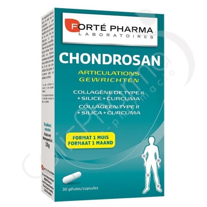 CHONDROSAN B30 GELULES