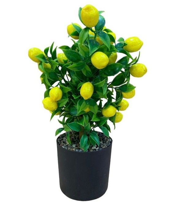 Plante artificiel avec pot citronier
