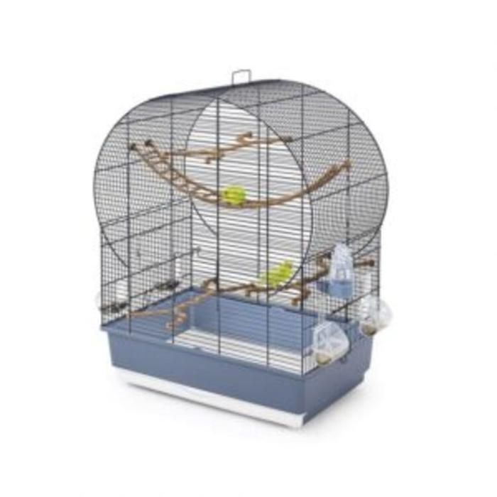 Cage oiseaux andoree