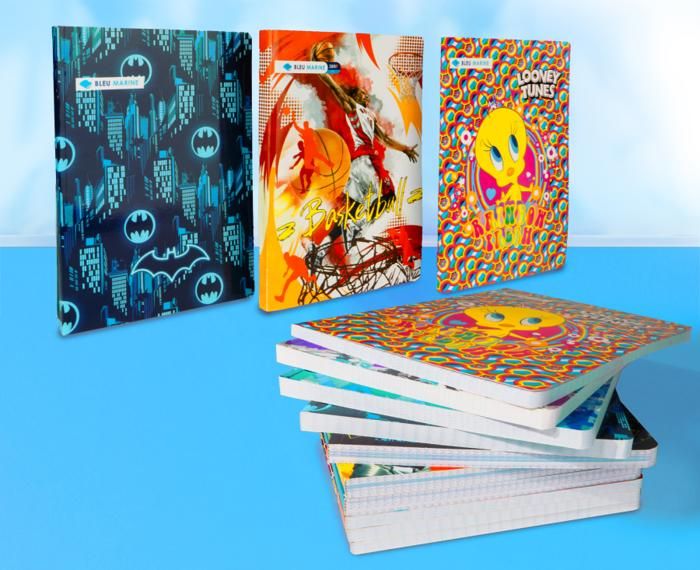 CAHIER BROCHE 384 PAGES
