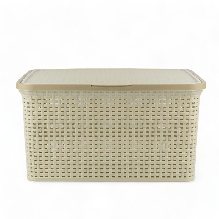 BOX DE RANGEMENT TRESSE 38 LITRES