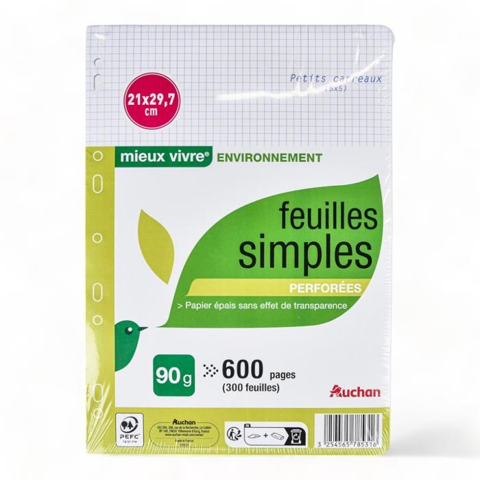 Feuilles simples 600 pages 21x29,7cm petits carreaux 5x5 perforées