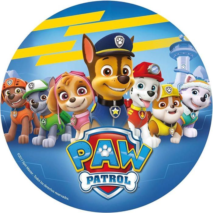 PACK ANNIVERSAIRE 91 PIECES PAW PATROL