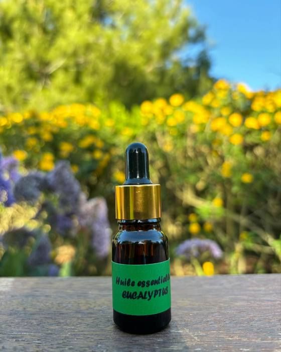 Huile essentielle Eucalyptus - Bio 10 ml