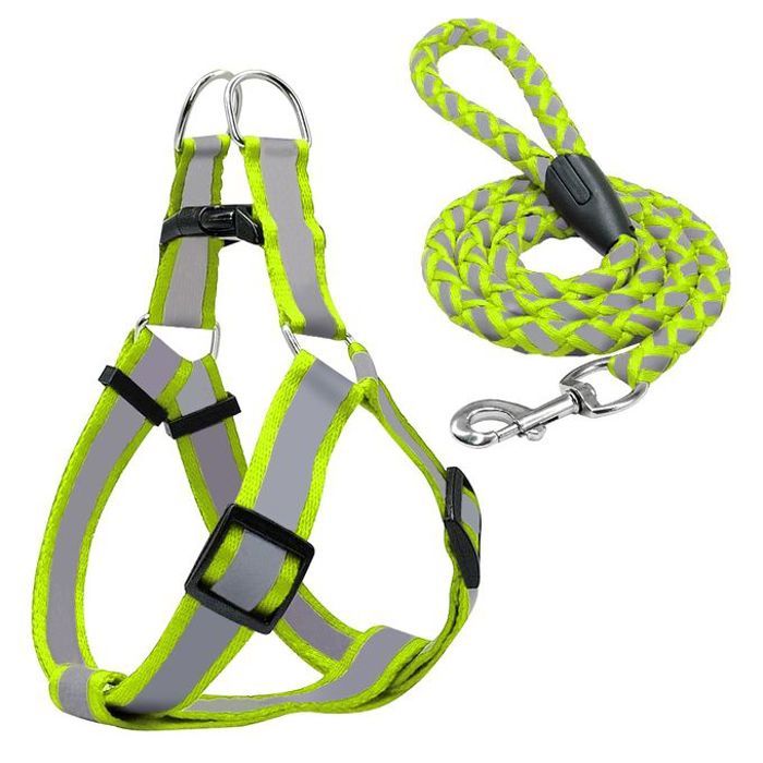 Laisse et harnai pour petit et moyen chien réfléchissant - Vert M 1.5 x 120cm