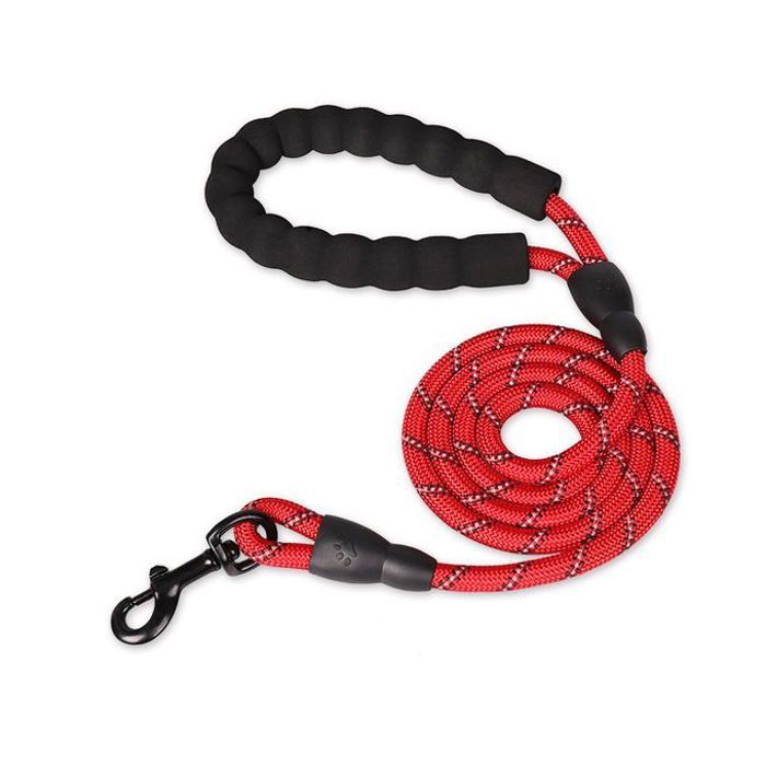 Laisse de chien en nylon - 1,5M