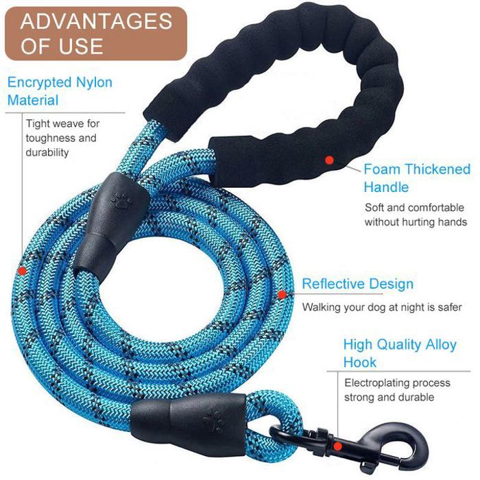 Laisse de chien en nylon - 1,5M