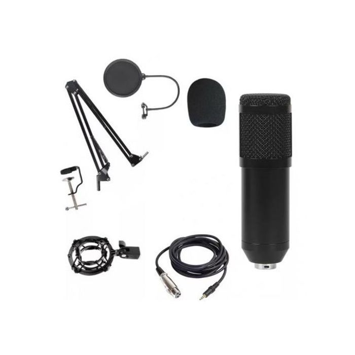 Microphone Professionnel bm800 Kit Studio avec Support